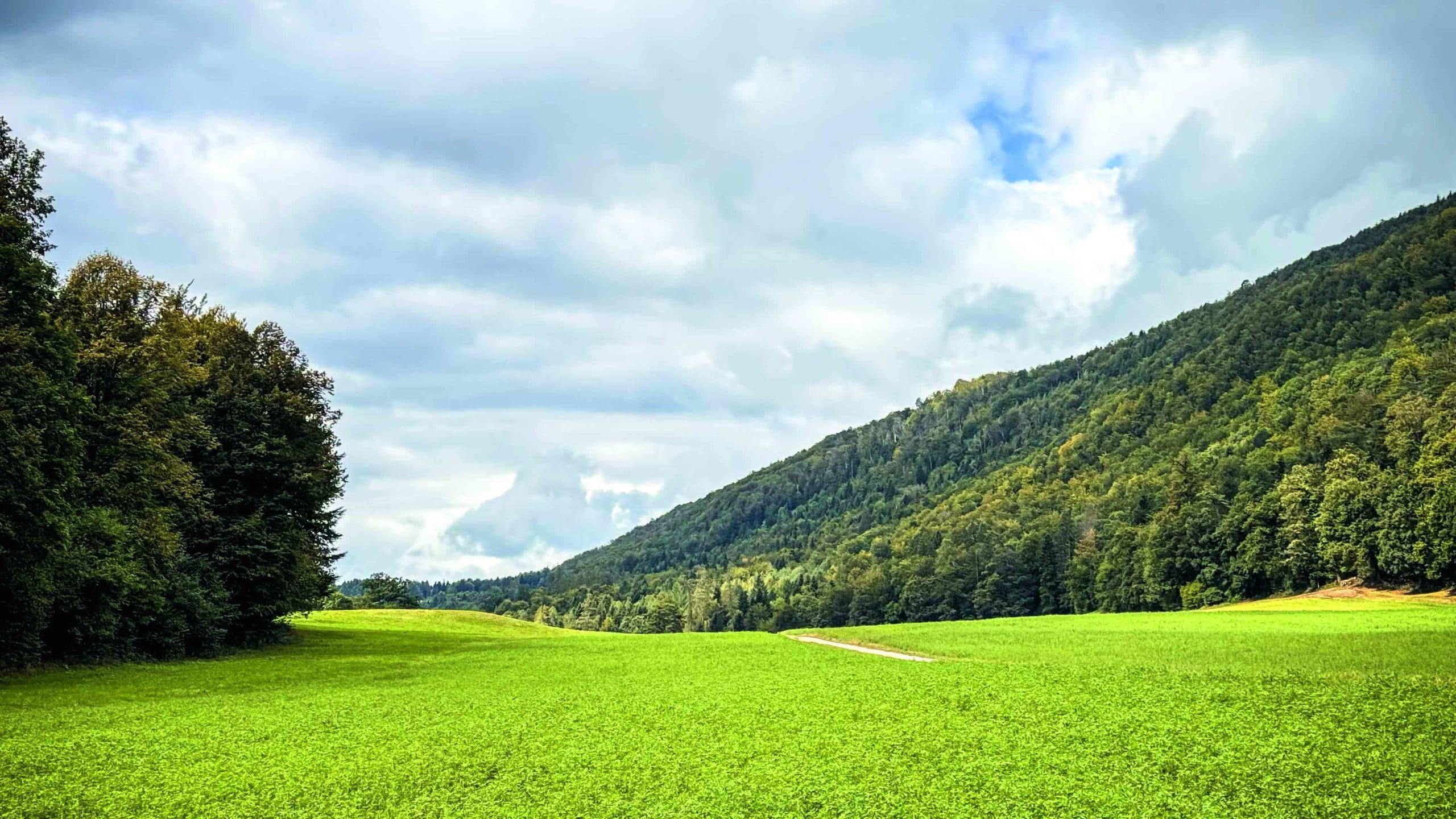 Par la campagne delémontaine