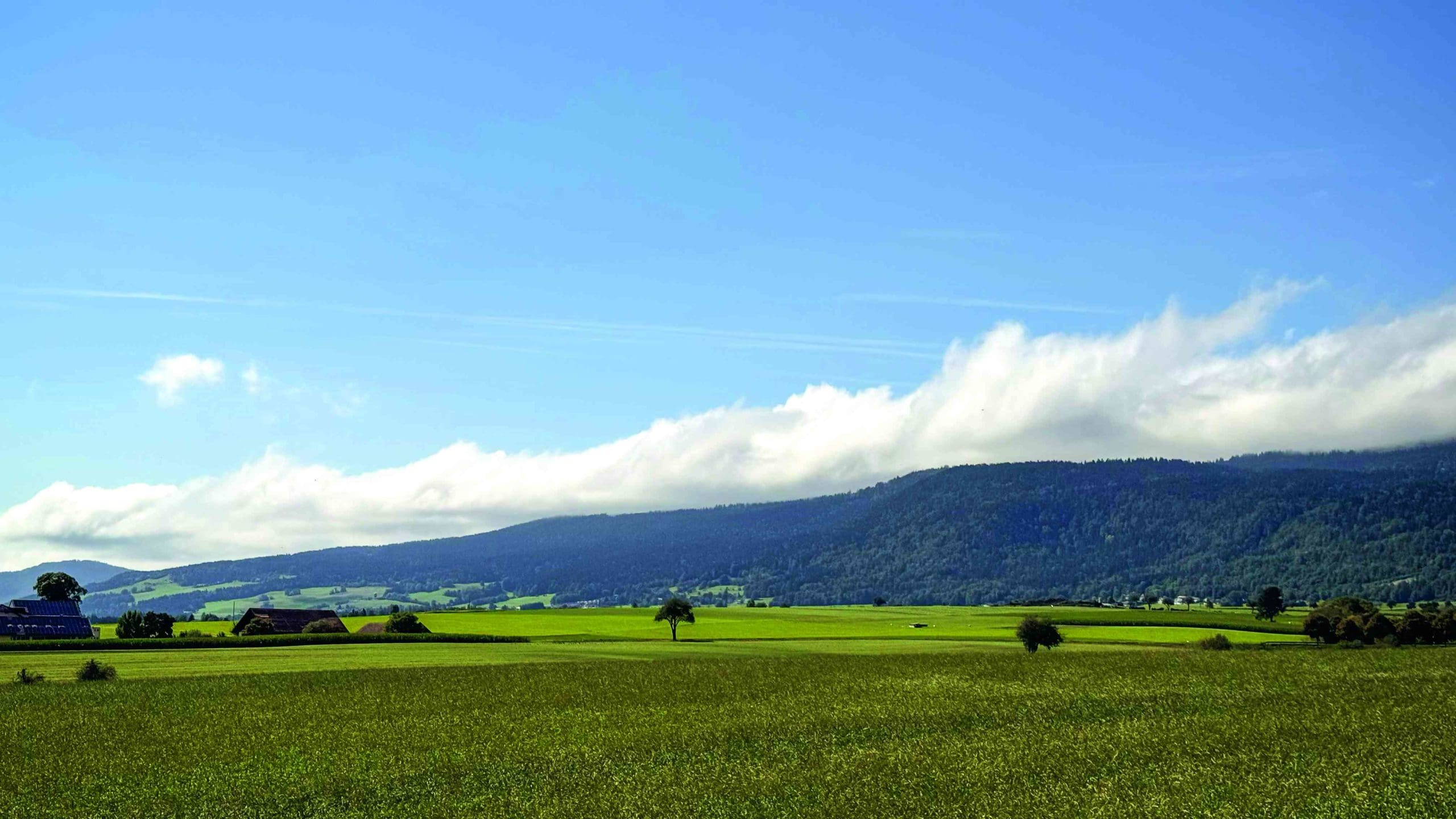 En passant par Engollon